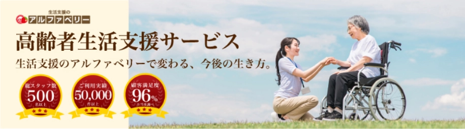 高齢者生活支援サービス